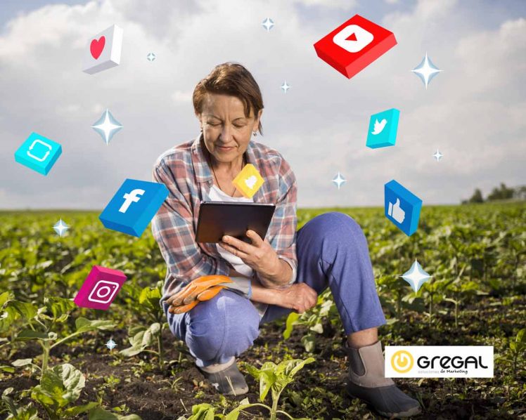 Cómo elegir una red social para mi empresa agroalimentaria
