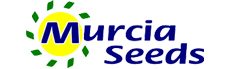 Logo Seedst